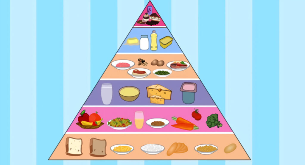 pirámide alimenticia