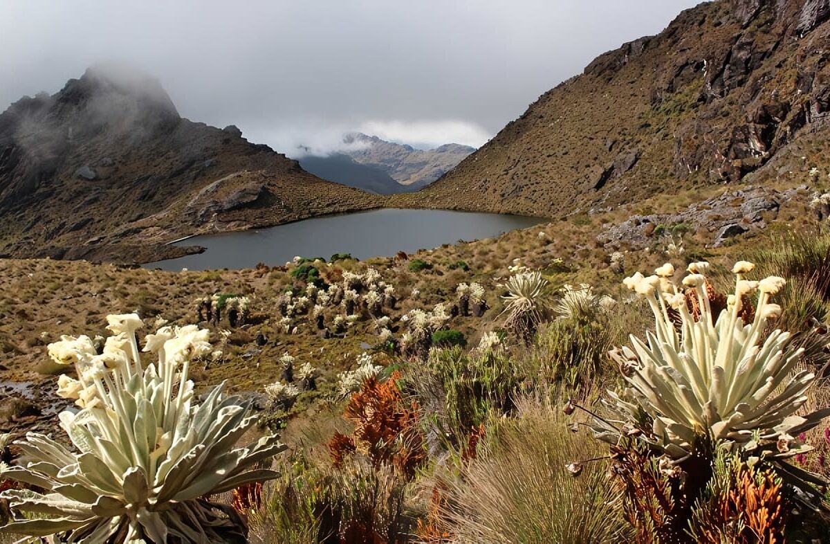 regiones colombianas