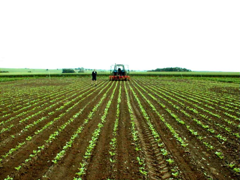 Agrou - Sector Agroindustrial en Colombia - Economía