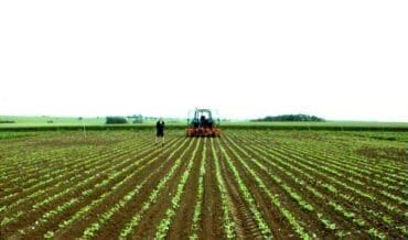Agrou - Sector Agroindustrial en Colombia - Economía