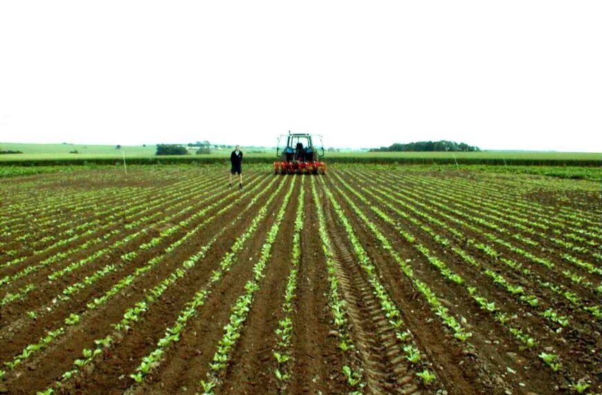 Agrou - Sector Agroindustrial en Colombia - Economía