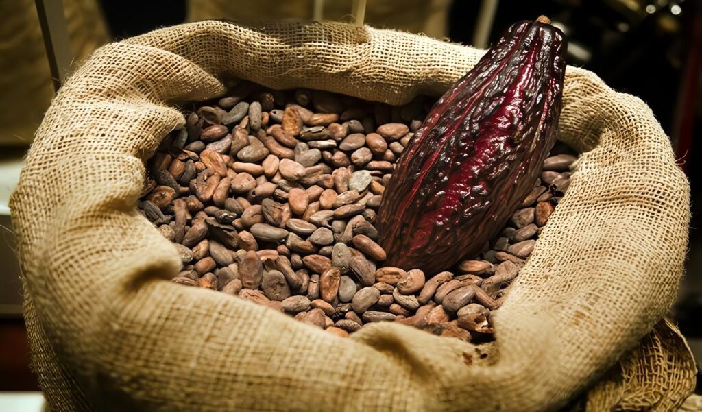 Cacao: Productos Agropecuarios de Exportación