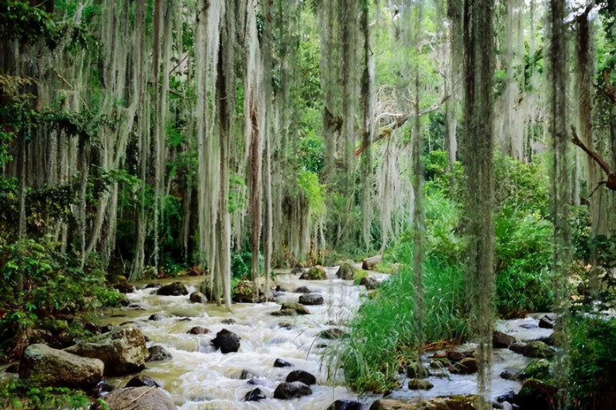 Ecoturismo San Gil