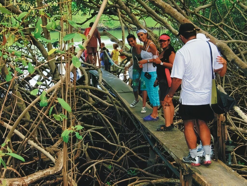 Exención-en-Renta-por-Servicios-de-Ecoturismo