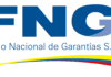 Fondo Nacional de Garantías, FNG