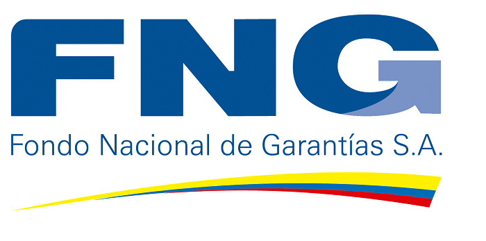 Fondo Nacional de Garantías, FNG