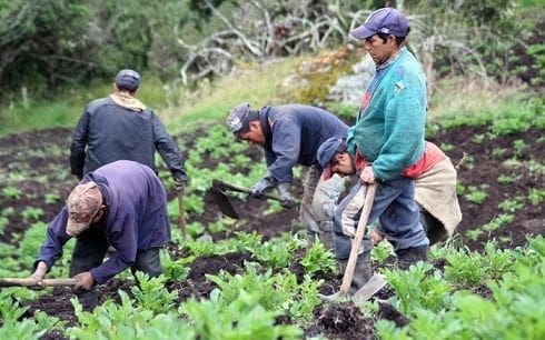 Población Rural Colombiana
