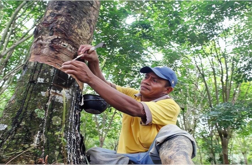 Potencial Exportador por Regiones Colombianas