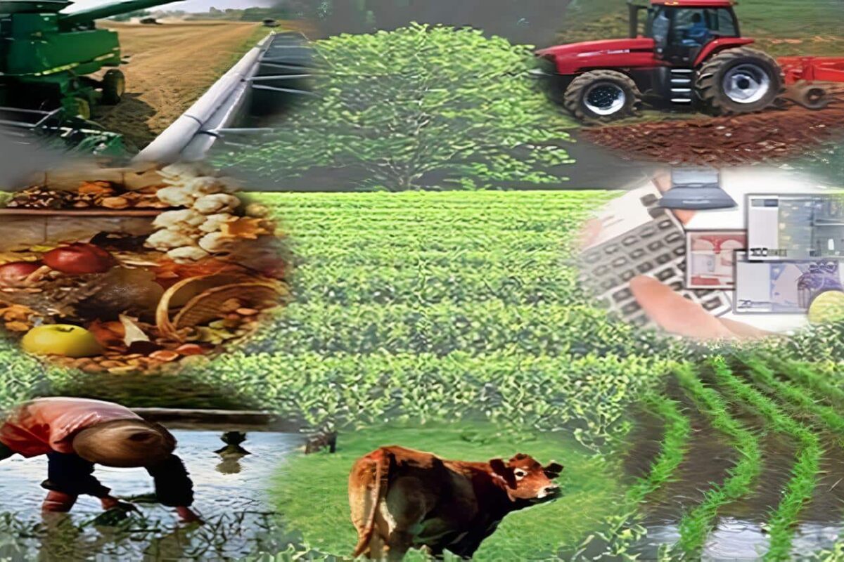 Sector-agropecuario-honduras