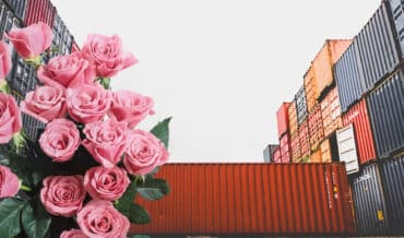 exportación de flores