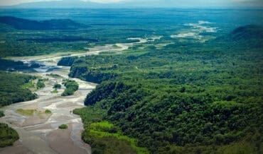 Medio ambiente Amazonía