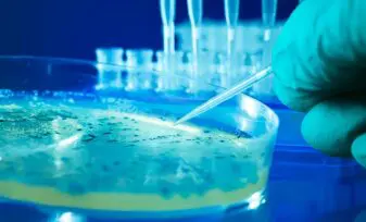 Código de Bioética para el Ejercicio de la Profesión de Bacteriología