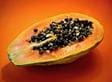 Fruto de la papaya - Cultivo