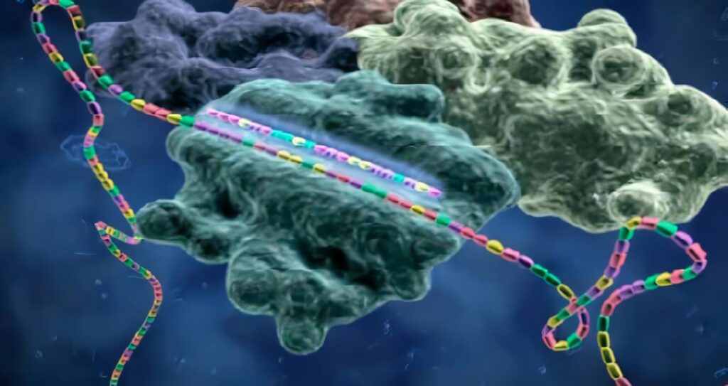 ARN de Intereferencia