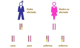 La mitad de los Cánceres de mama de Origen Genético son Herencia Paterna