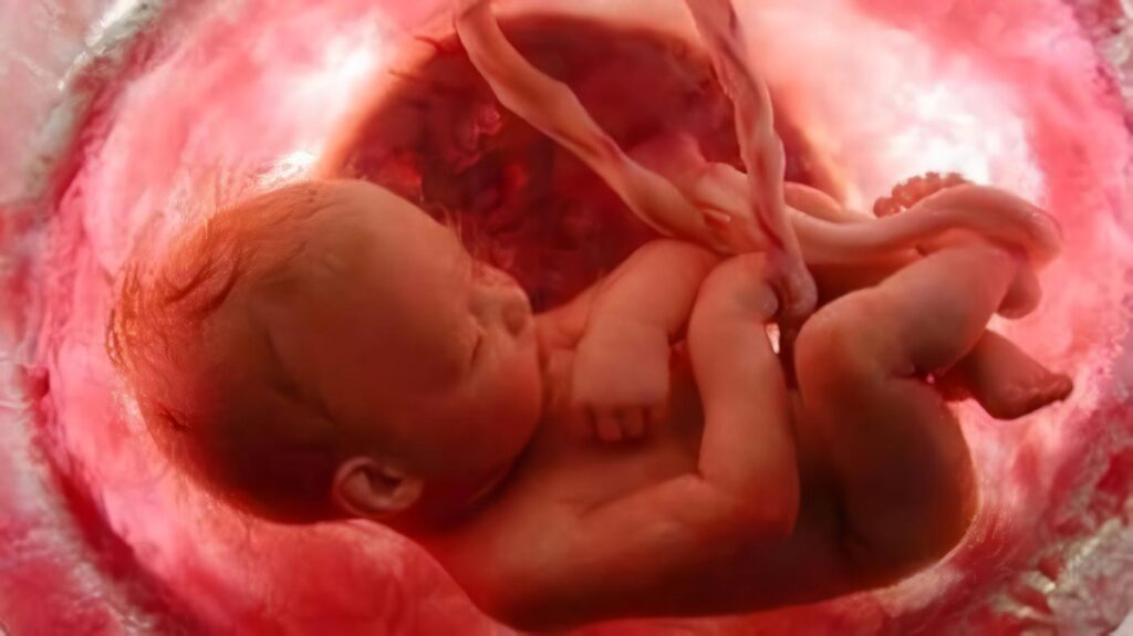 Proteína de las Células Madre Embrionaria inhibe el Melanoma