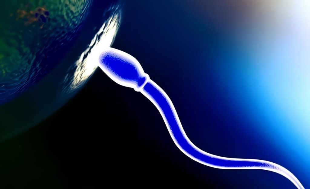 Sencillo Procedimiento mejora la Fertilidad Masculina