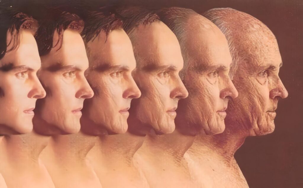 Identifican Grupo de Genes en el Proceso de Envejecimiento