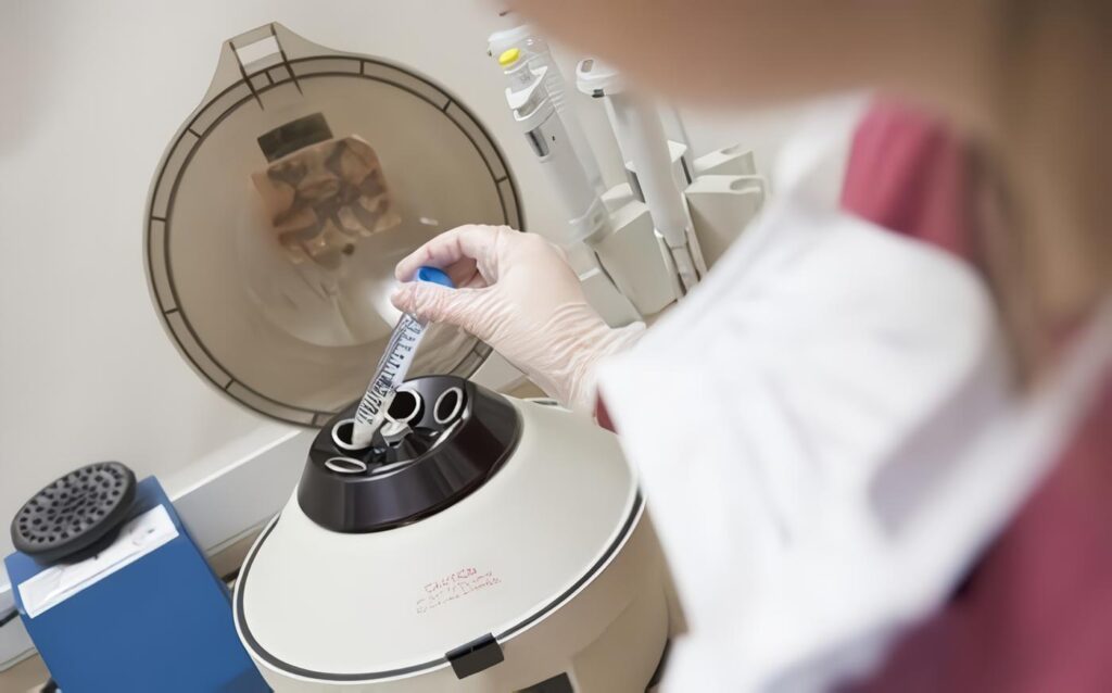 La Médula Ósea restablece la Fertilidad después de la Quimioterapia