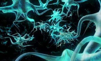 Compuestos que Previenen el Daño Neuronal