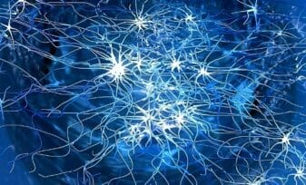 Proteína Cerebral tiene Potencial contra el Alzheimer