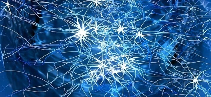 Proteína Cerebral tiene Potencial contra el Alzheimer