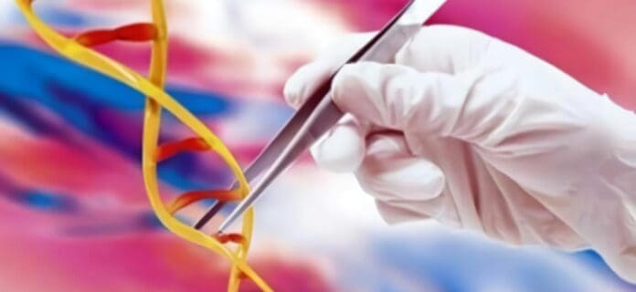 Prueba Genética ayuda a Detectar el Cáncer de Próstata