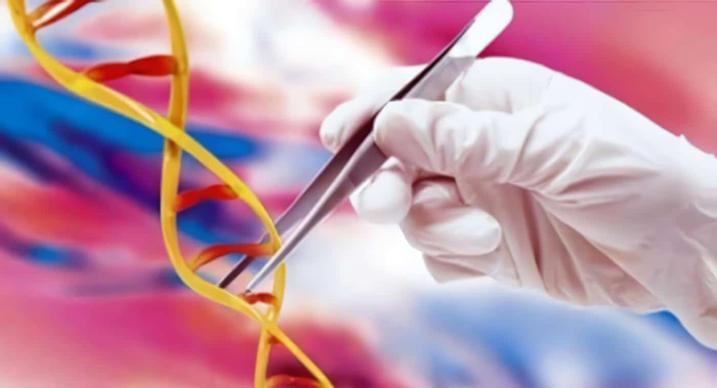 Prueba Genética ayuda a Detectar el Cáncer de Próstata