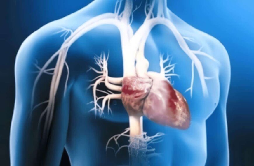 Reducir el Consumo de sal, disminuye el Riesgo de Enfermedad Cardiaca