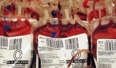 Crean por primera vez Sangre Universal que beneficiará a todos los Grupos Sanguíneos