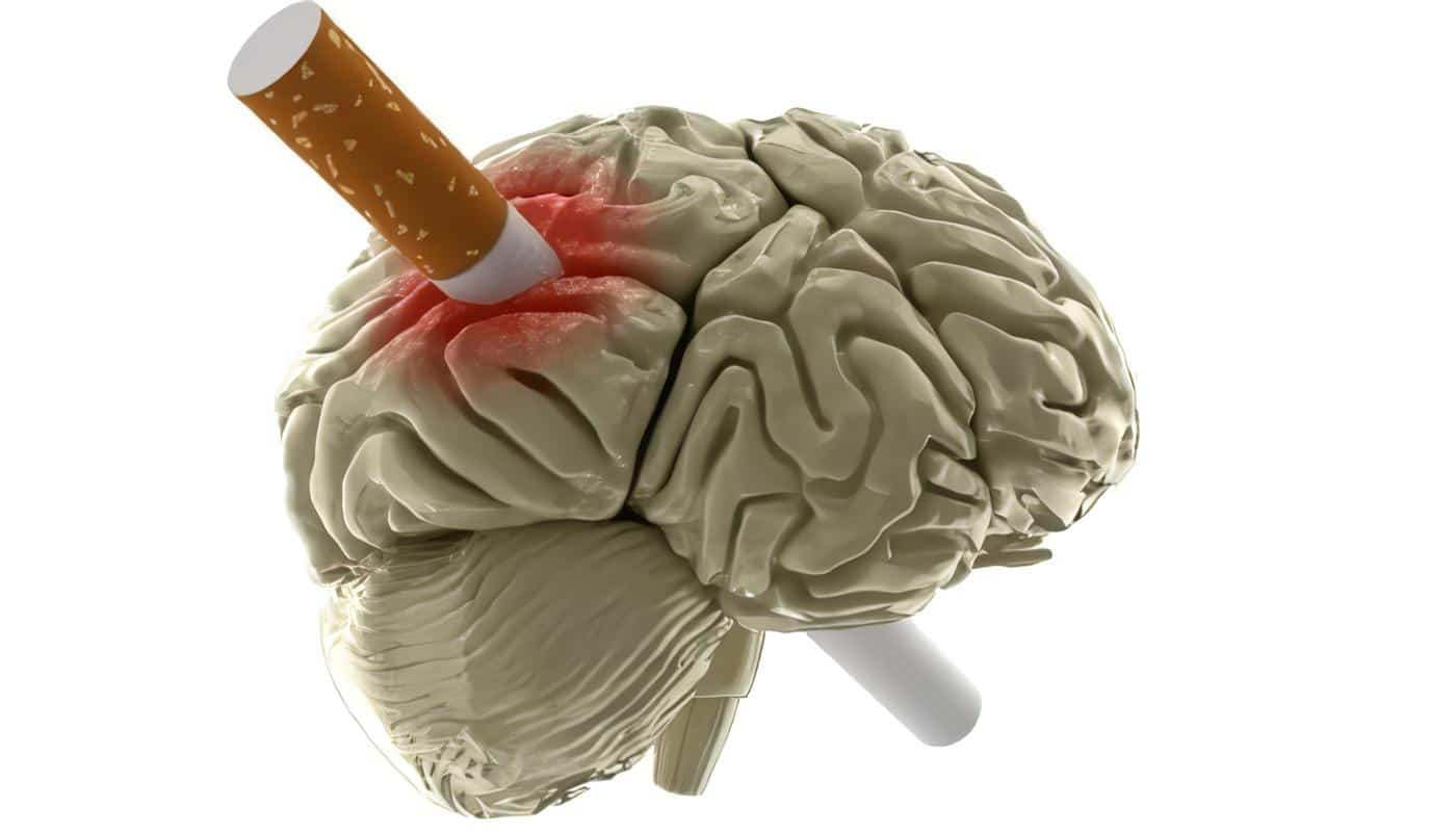 Tabaquismo produce cambios en el Cerebro asociados a las conductas Adictivas