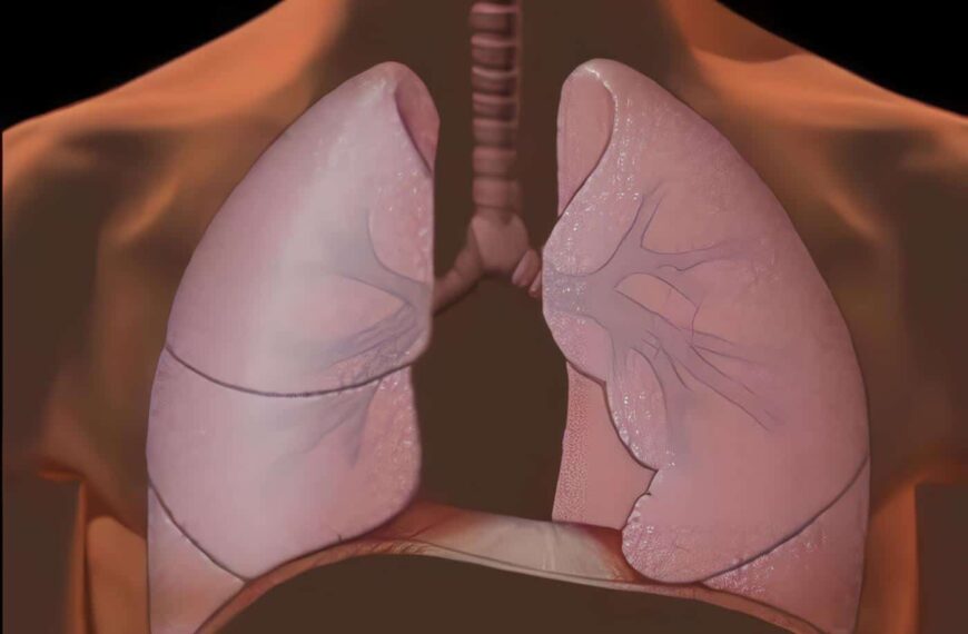 Rehabilitación Pulmonar