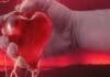 Mecanismo Molecular podría dar Origen a nuevos tratamientos para la Insuficiencia Cardíaca