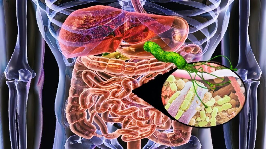 Bacterias Intestinales