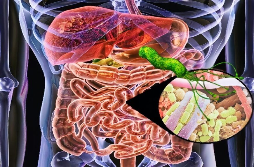 Bacterias Intestinales