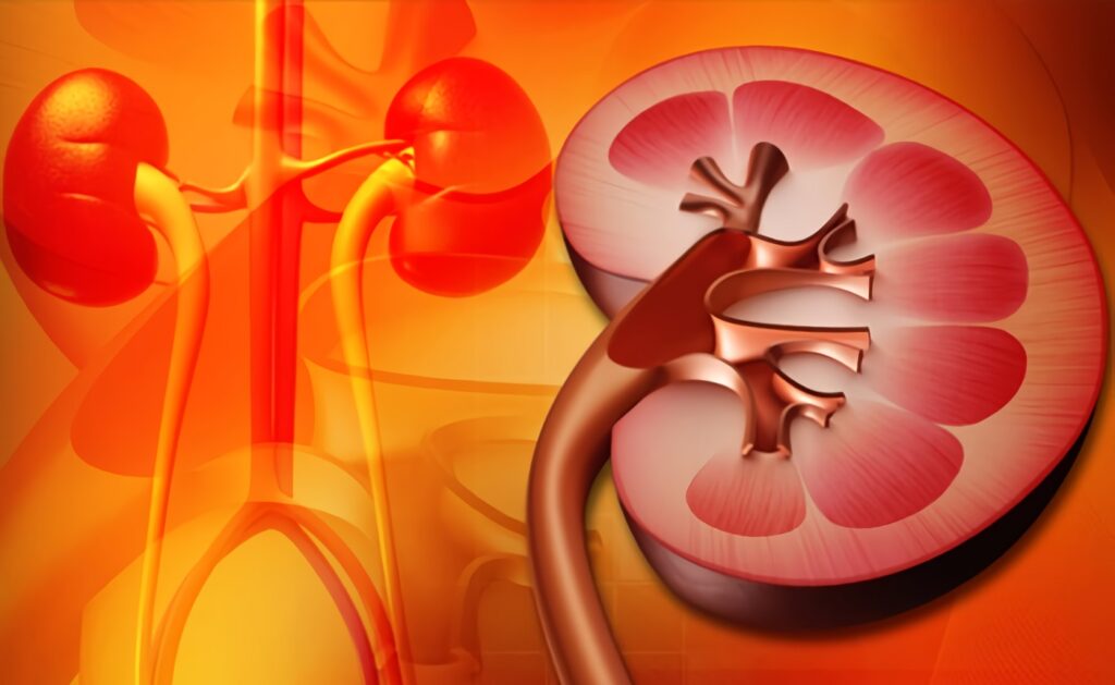 glomerulonefritis-enfermedades-renales