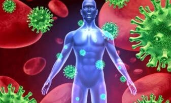 Pérdida de una Enzima Clave Altera la Forma en que el Sistema Inmune Reconoce los Antígenos