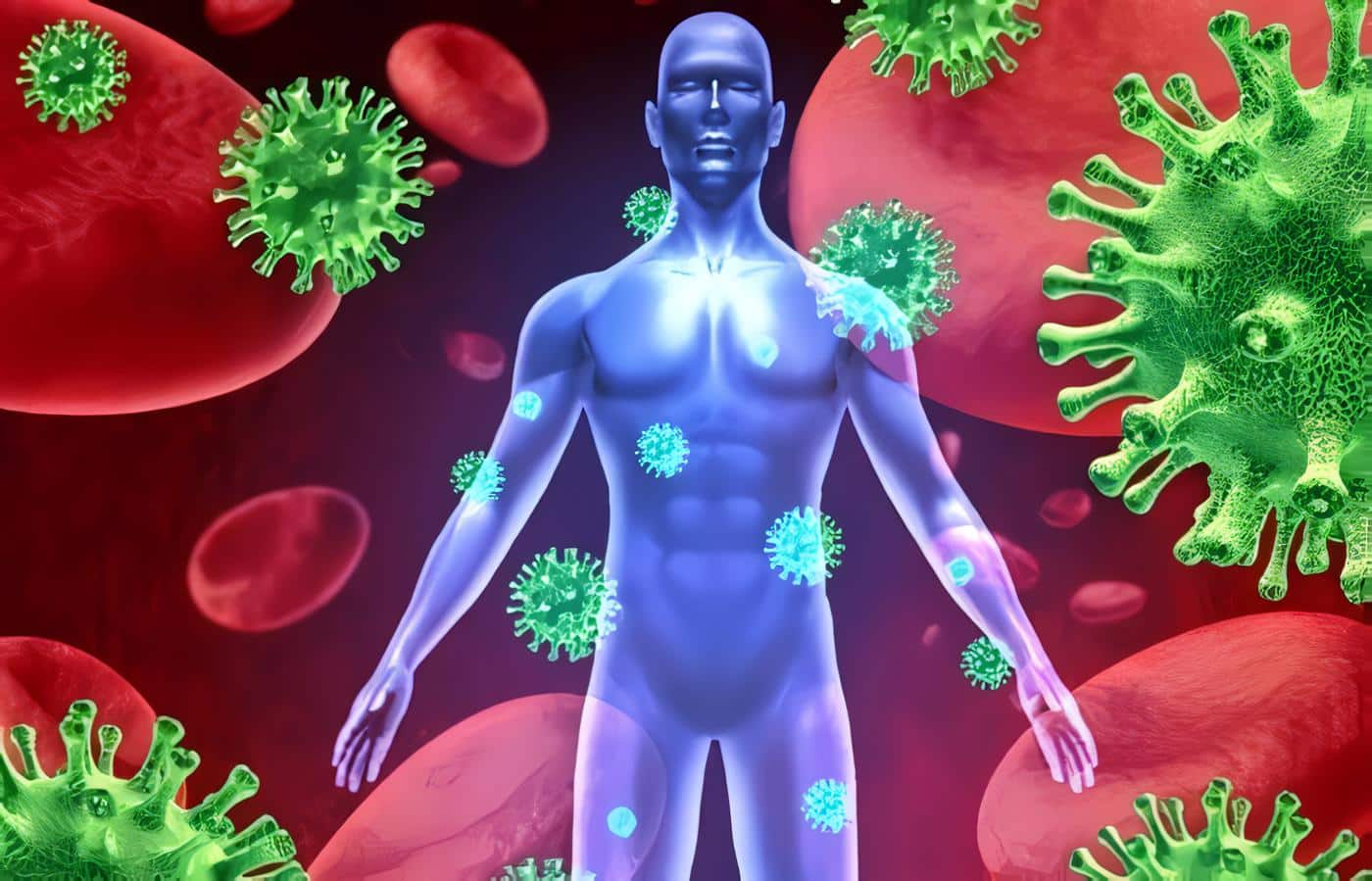 Pérdida de una Enzima Clave Altera la Forma en que el Sistema Inmune Reconoce los Antígenos