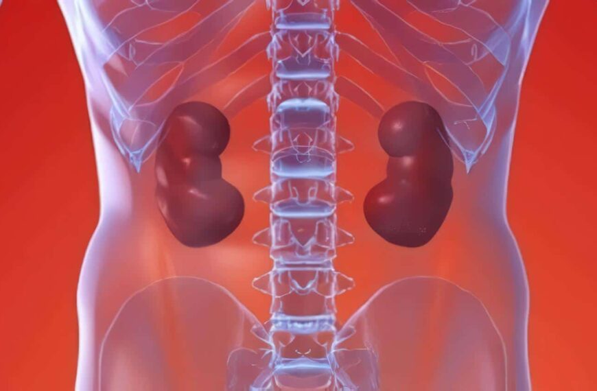 Personas con un Transplante Renal fallece por Cardiopatías o Cáncer