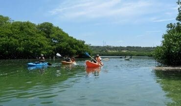 Servicios Ecoturísticos en Isla de Salamanca
