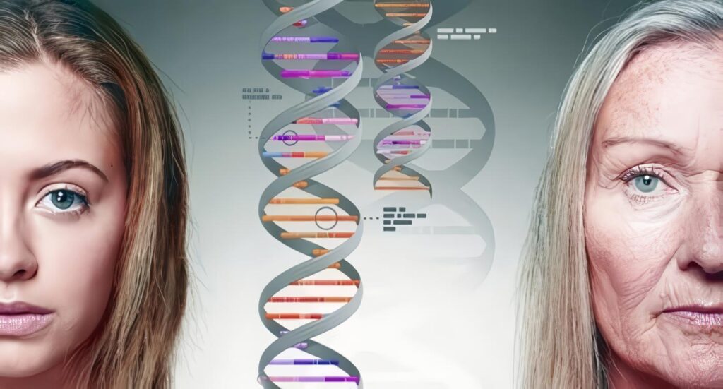 ADN del Cáncer de Mama