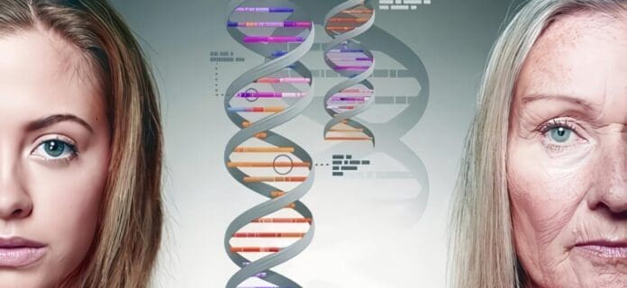 ADN del Cáncer de Mama