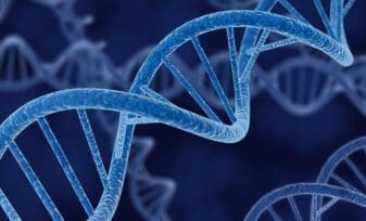 Genes Podrían Relacionarse con el Cáncer de Próstata Letal