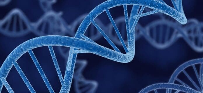 Genes Podrían Relacionarse con el Cáncer de Próstata Letal