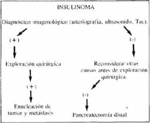 TRATAMIENTO DE APUDOMAS PANCREÁTICOS, REVISTA DE MEDICINA