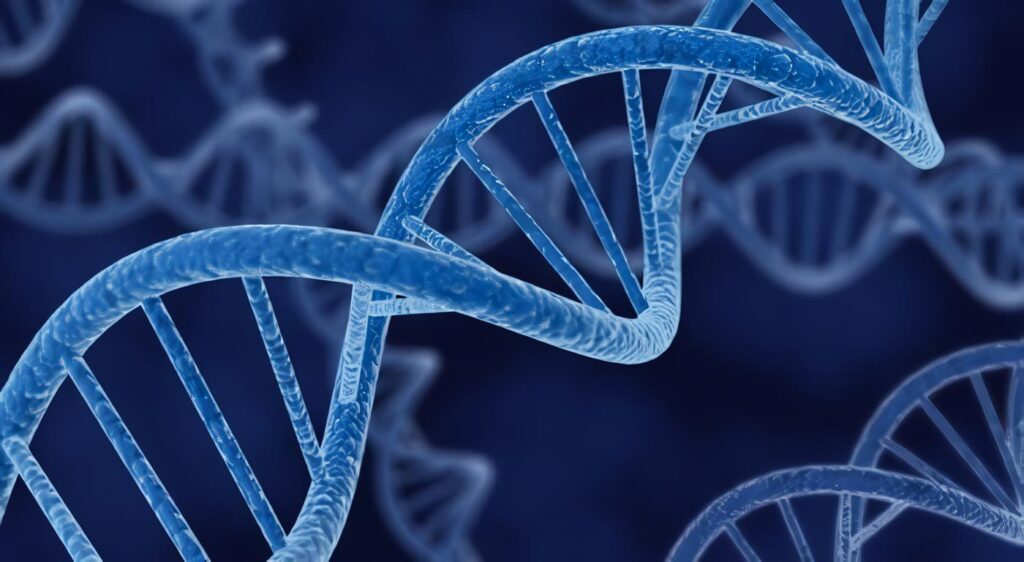 La Depresión de la Madre Afecta la Estructura Cerebral de los Niños