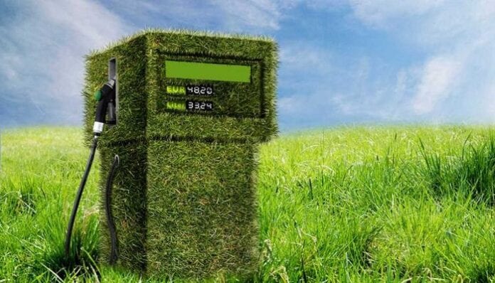 Proyecto Mesoamericano de Biocombustibles