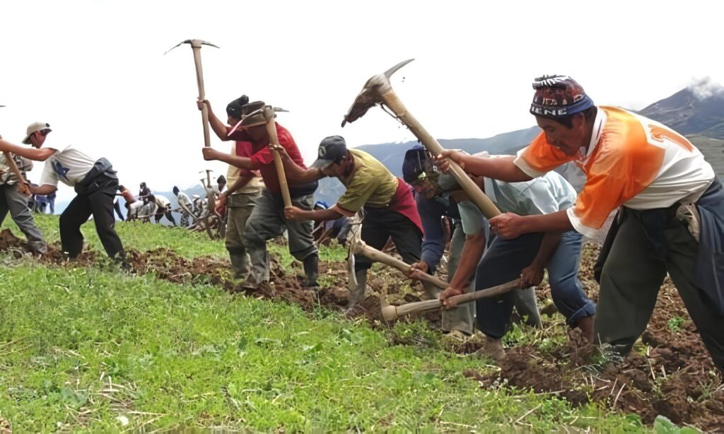 Seguridad Alimentaría Campesinos