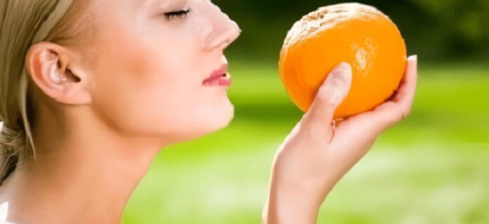 Hormonas Ayudan a detectar los Alimentos mediante el Olfato
