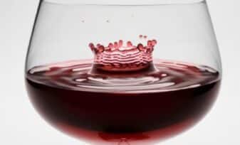 Antioxidante del Vino Tinto podría Beneficiar al Metabolismo